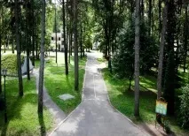 купалінка