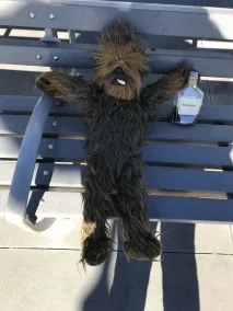 моськи