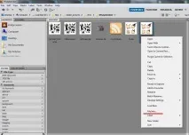 Adobe Brigde на допомогу мікростокеру мікростокеру