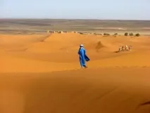 Вірші. Міражі душі