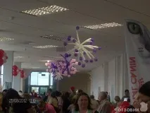 На міжнародній виставці кішок у Льодовому палаці красуються півтори сотні вусатих експонатів — ФОТО виставці