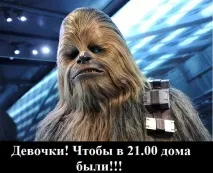 моськи