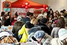 На міжнародній виставці кішок у Льодовому палаці красуються півтори сотні вусатих експонатів — ФОТО міжнародній