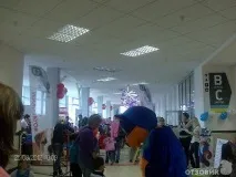 На міжнародній виставці кішок у Льодовому палаці красуються півтори сотні вусатих експонатів — ФОТО палаці