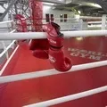 Біржовий - пошук слів за маскою та визначенням, відповіді на сканворди маскою
