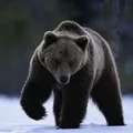 Біржовий - пошук слів за маскою та визначенням, відповіді на сканворди біржовий