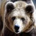 Біржовий - пошук слів за маскою та визначенням, відповіді на сканворди пошук