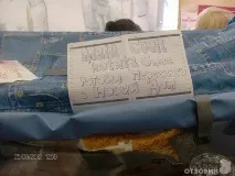 На міжнародній виставці кішок у Льодовому палаці красуються півтори сотні вусатих експонатів — ФОТО палаці