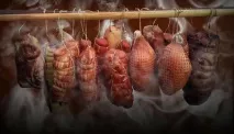 Бізнес-ідея відкриття власної коптильні відкриття