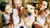 Насіння гарбуза від глистів застосування, чи допомагає гарбуз від паразитів гарбуза