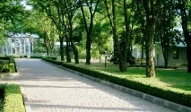 Чабанка, оздоровчий комплекс Чабанка