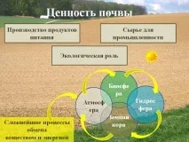 Цінність ґрунту - Презентація 265859-5 265859-5