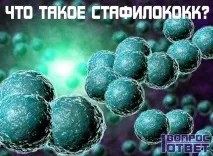 Що таке стафілокок і звідки він береться Причини виникнення стафілокока, джерело його появи береться