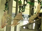 Датчики для підрахунку виробів, деталей та спрацьовувань механізмів - НПК ТЕКО в Челябінську виробів