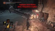 сірокрис