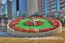 Квітковий годинник Карла Ліннея годинник