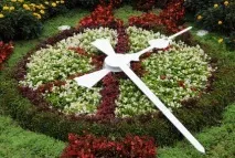 Квітковий годинник Карла Ліннея квітковий