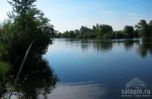 важливий