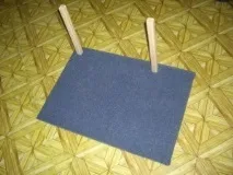 кішки