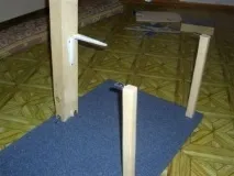 кішки