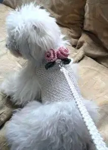 стовпчик