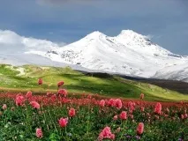 Ельбрус цікаві факти ельбрус