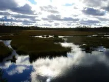 Дух череповецьких боліт води