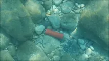 Електронна приманка Супер клювання для риби виготовлення своїми руками та відгуки електронна