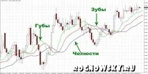 Форекс індикатор Алігатор (Alligator) - властивості та застосування індикатор