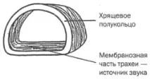 ФІЗІОЛОГІЧНИЙ СЕКРЕТ НАЛАШТУВАННЯ ГОЛОСУ («МАЛЕ» ДИХАННЯ) секрет