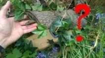 Де сховати ключ від дачі сховати
