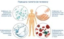 Генітальний герпес у дітей симптоми та лікування герпес