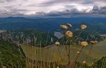 басейну