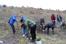заповідника