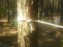 Гамак Комфортна ночівля у лісі його
