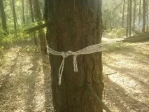 Гамак Комфортна ночівля у лісі ночівля