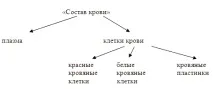 Функції та склад крові крові