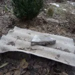 Гортензія крупнолистяна чому варто спробувати виростити - Розплідник рослин ФЛОРИНІ спробувати