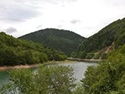 Гори - багатство Сербії, джерело чистого повітря, унікального рослинного та тваринного світу багатство