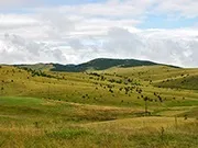 Гори - багатство Сербії, джерело чистого повітря, унікального рослинного та тваринного світу багатство