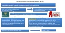 Державні закупівлі в Україні - «плюси та мінуси» державні