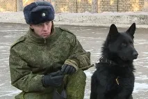 ГТРК - Амур - Амурського прикордонного собаку першого в країні нагородили за затримання порушника гтрк