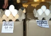 губернський