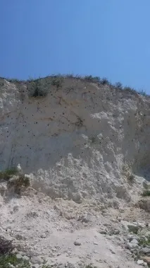 Бондаренкове