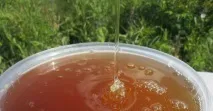 Яка користь від меду, Корисні знання для всіх користь