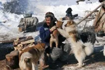 З життя оленярів Колими - Видавництво «Мисливець» мисливець