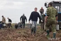 Як ми їздили на картоплю, Back in the USSR back
