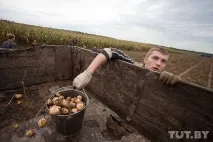 Як ми їздили на картоплю, Back in the USSR картоплю