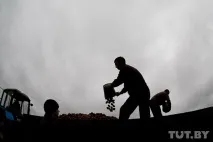Як ми їздили на картоплю, Back in the USSR ussr