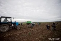 Як ми їздили на картоплю, Back in the USSR їздили